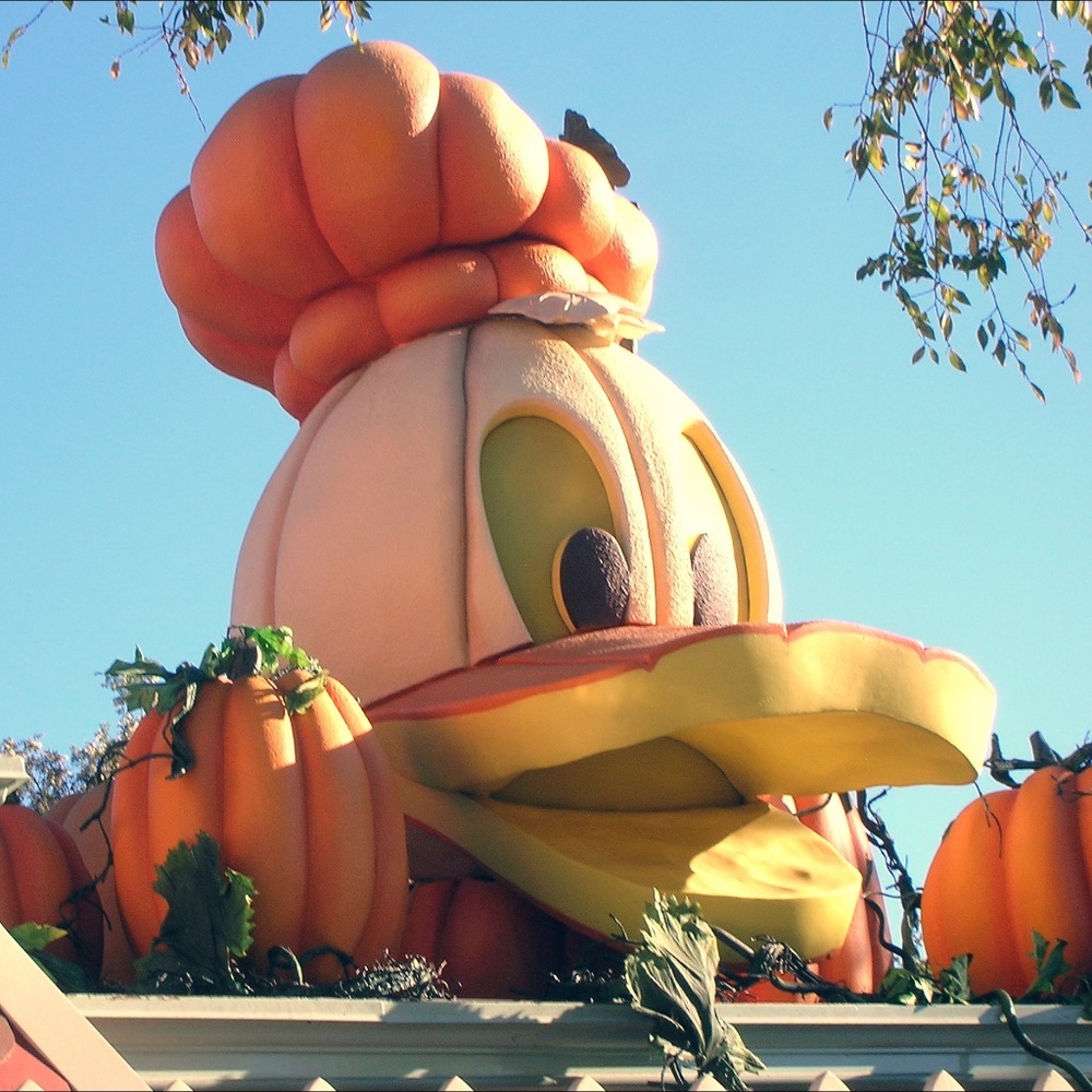 Meet your Posher, Kathie